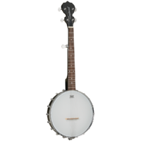 Tanglewood Traveller Banjo - 5 Strings